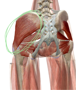 おしり 痛み 横浜