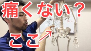 横浜 関内 整体